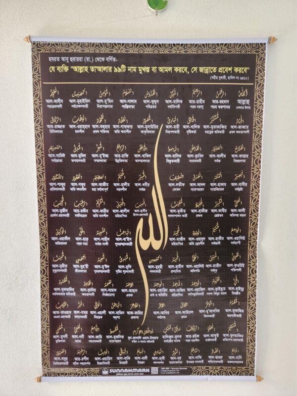 আমল পেনা কম্বো ৩ পিস