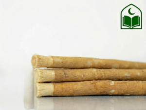 পিলু মিসওয়াক ৩ পিস পিলু মিসওয়াক ৩ পিস