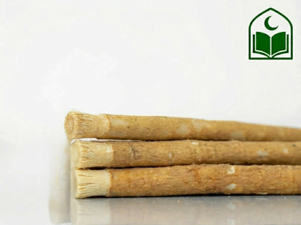 পিলু মিসওয়াক ৩ পিস